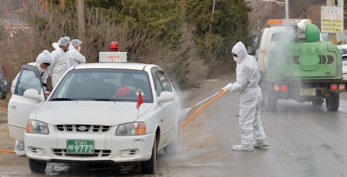 South Korea, Japan step up poultry cull to contain bird flu 